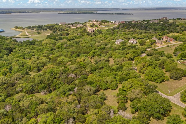 42068 Crooked Stick Dr, Whitney, TX 76692