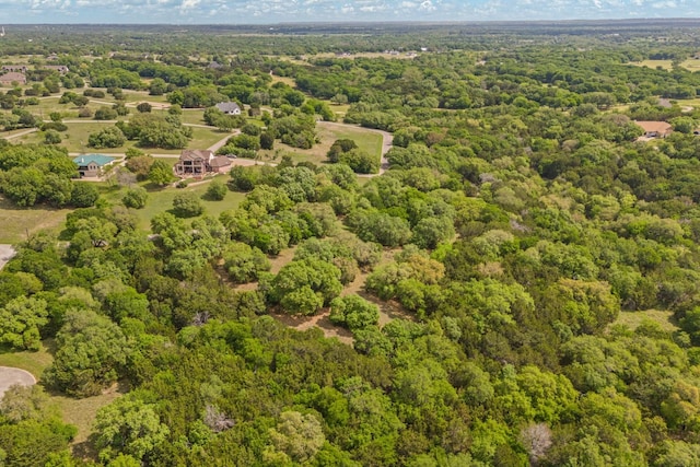 42068 Crooked Stick Dr, Whitney, TX 76692