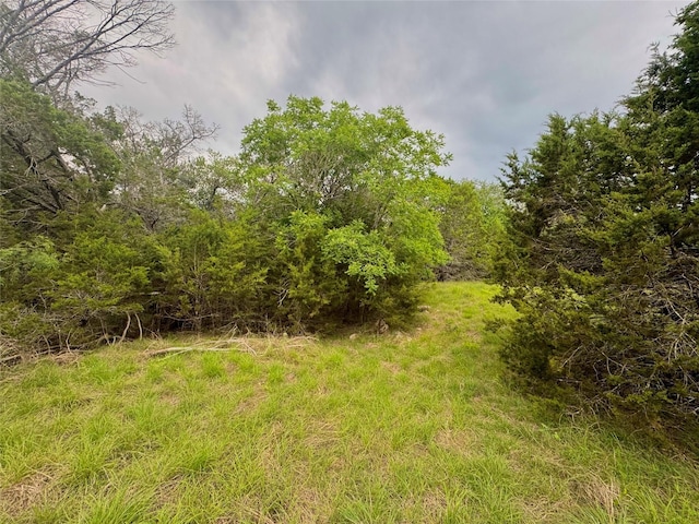 42068 Crooked Stick Dr, Whitney, TX 76692