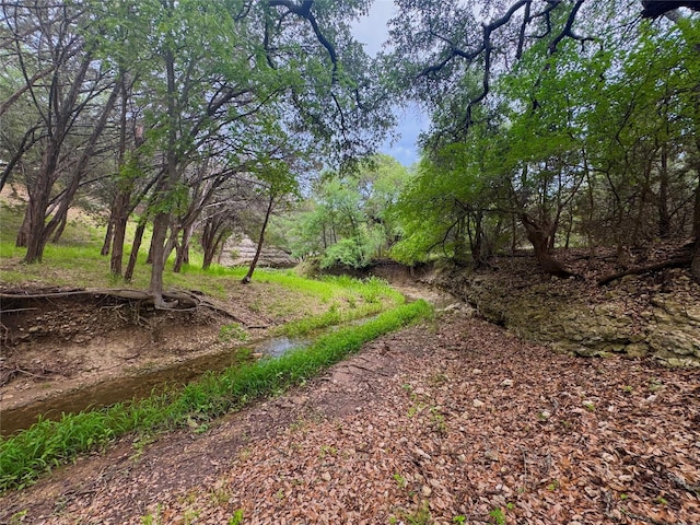 42068 Crooked Stick Dr, Whitney, TX 76692
