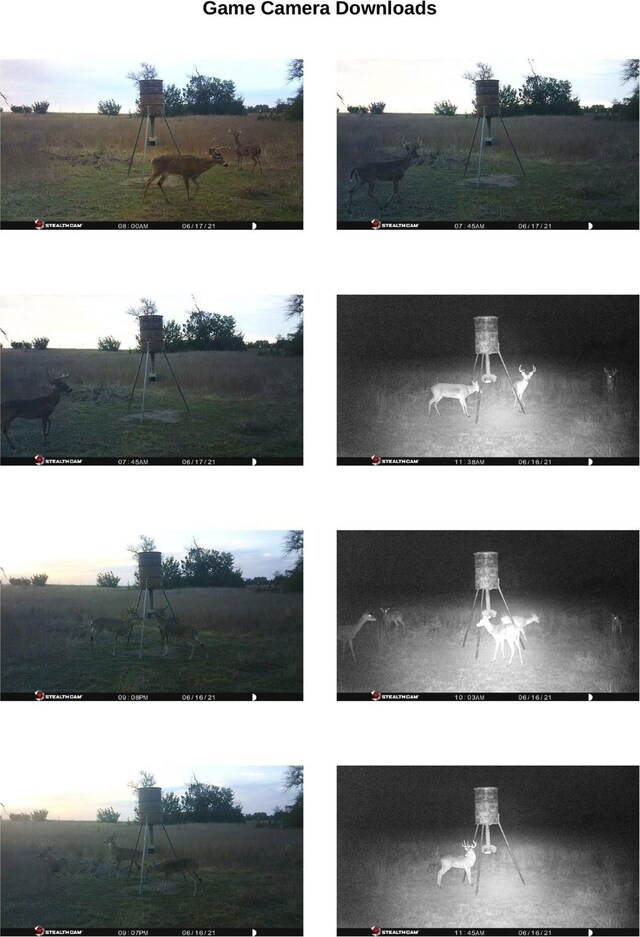 131 Private Road 2549b Rd, Meridian, TX 76665