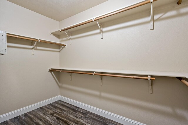 spacious closet featuring dark wood-type flooring