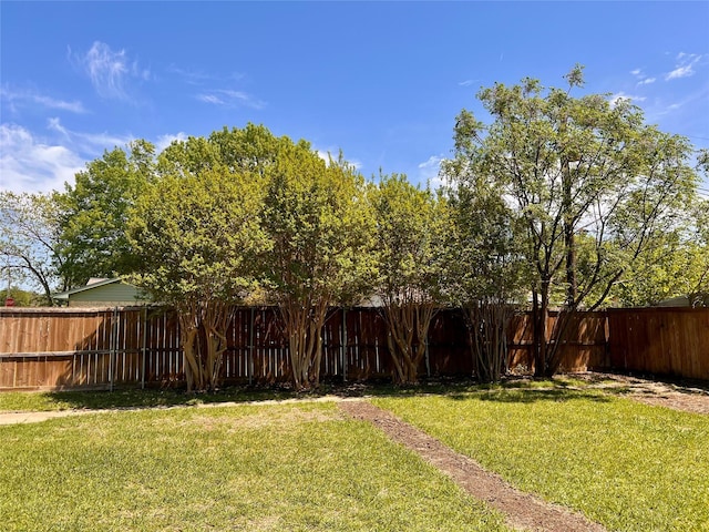 view of yard featuring a fenced backyard