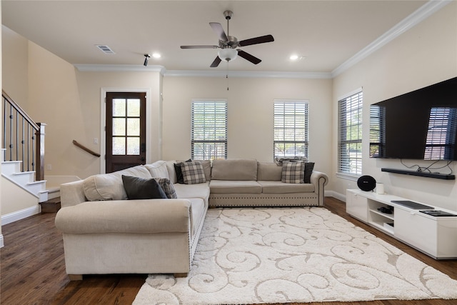 7305 Caladium Dr, Mckinney, TX 75070 - living room with ornamental molding, dark wood-style flooring, ceiling fan, stairway, and baseboards
