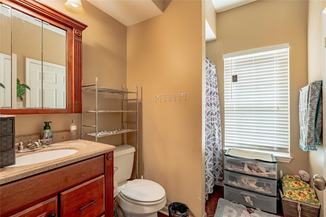 bathroom with toilet and vanity