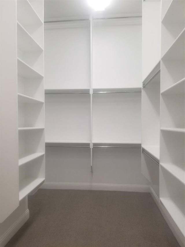 1525 Wild Indigo Dr, Mansfield, TX 76063 - view of pantry