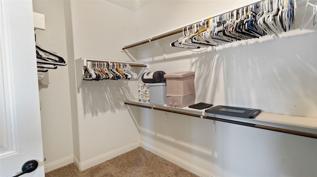 walk in closet featuring carpet floors