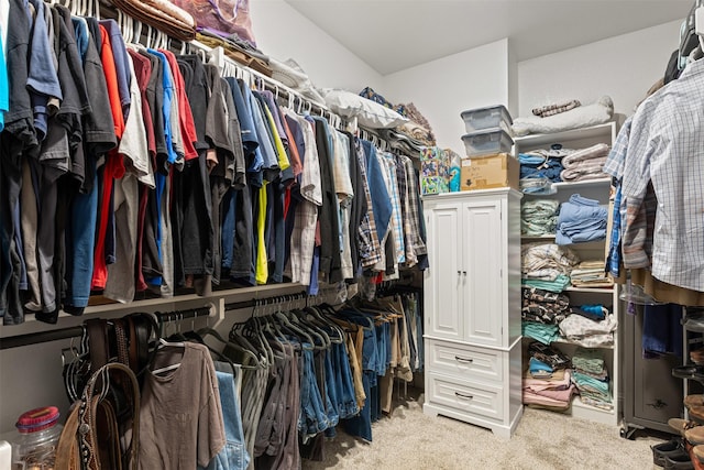 spacious closet featuring carpet
