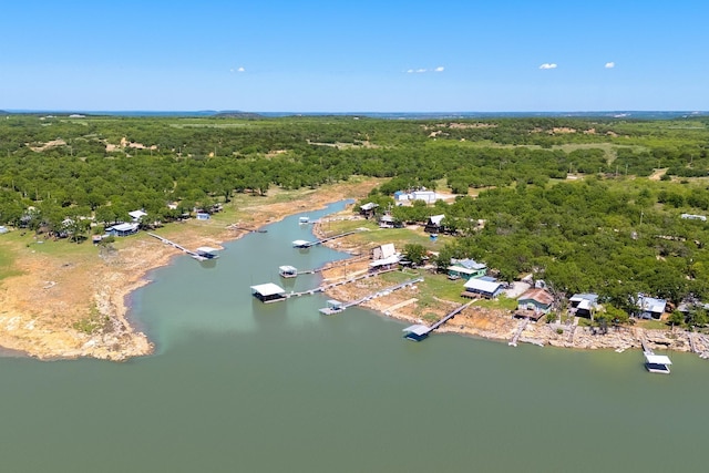 drone / aerial view featuring a view of trees and a water view