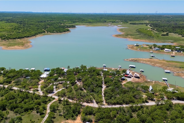 drone / aerial view featuring a forest view and a water view
