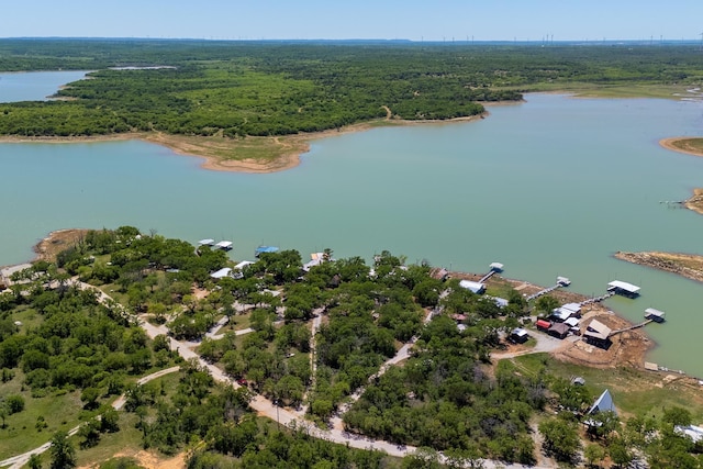 birds eye view of property featuring a forest view and a water view