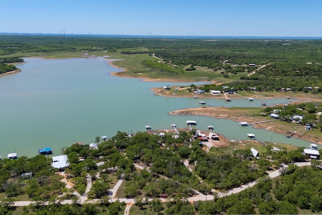 birds eye view of property with a wooded view and a water view