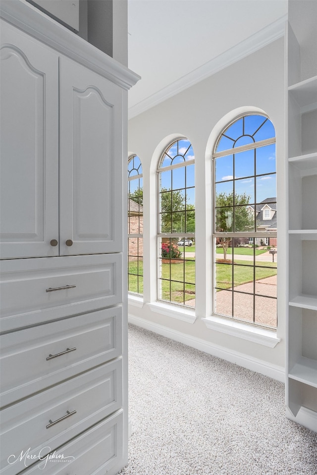 details featuring baseboards and ornamental molding