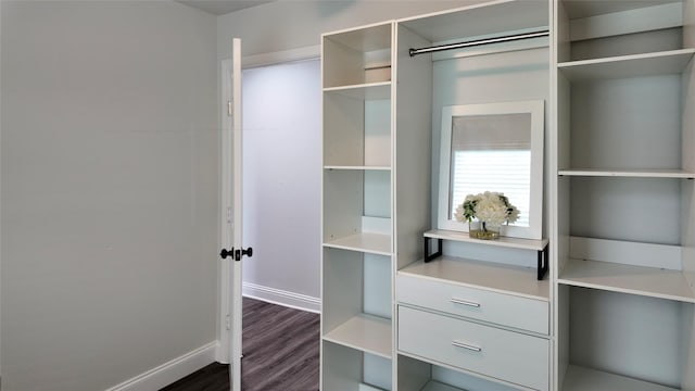 2904 Chestnut Ave, Fort Worth, TX 76106 - view of closet