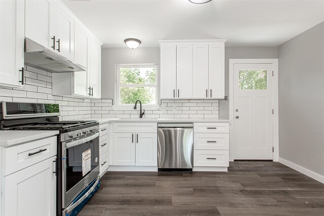 4227 Harvey Dr, Mesquite, TX 75150 - kitchen featuring stainless steel appliances, under cabinet range hood, a sink, light countertops, and decorative backsplash