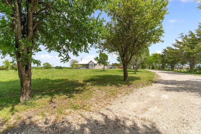 view of street featuring gravel driveway