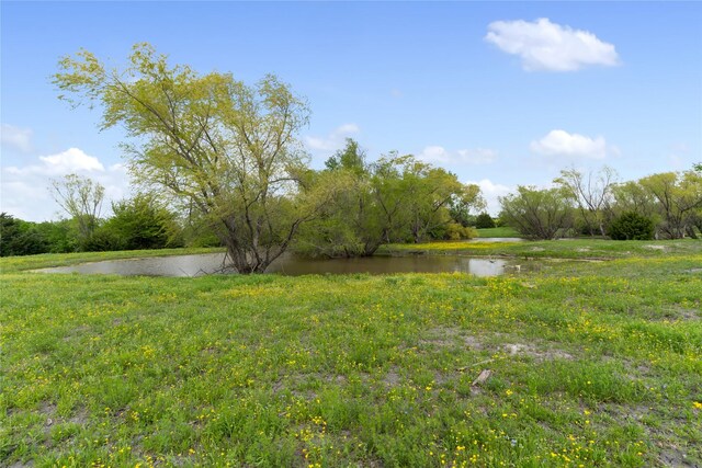view of yard with a water view