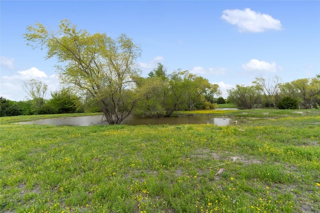 view of yard with a water view