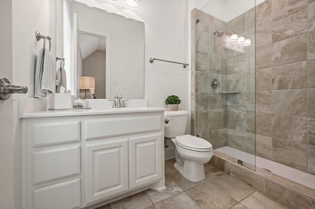 bathroom with walk in shower, toilet, and vanity