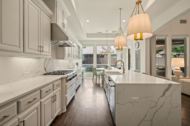 kitchen featuring under cabinet range hood, visible vents, a wealth of natural light, and dark wood-style floors