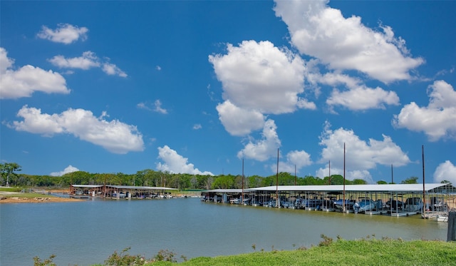 property view of water with a dock
