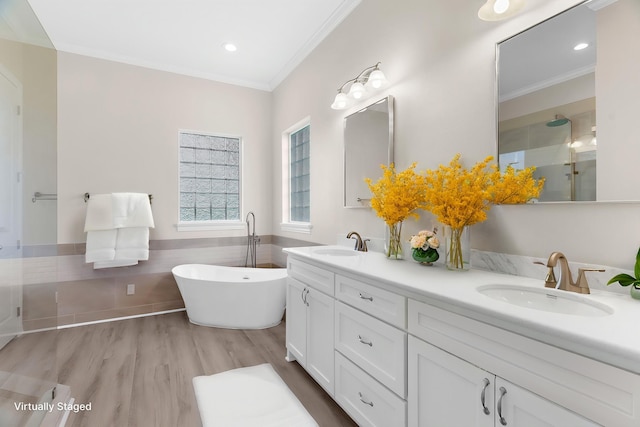 1991 Sunset Trl, Mckinney, TX 75071 - full bathroom featuring a soaking tub, ornamental molding, a sink, and double vanity