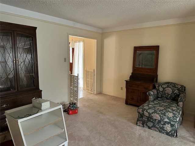 sitting room featuring carpet and a textured ceiling