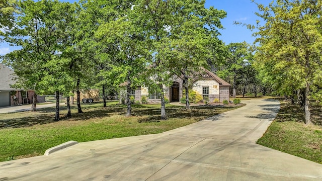 surrounding community featuring concrete driveway