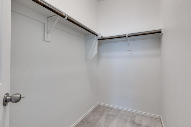 spacious closet with light carpet