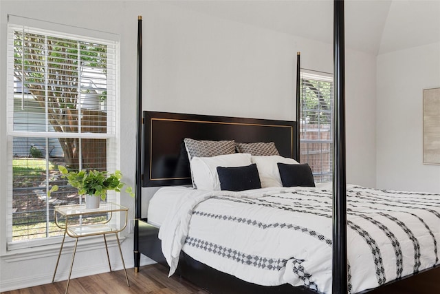 bedroom featuring multiple windows and wood finished floors