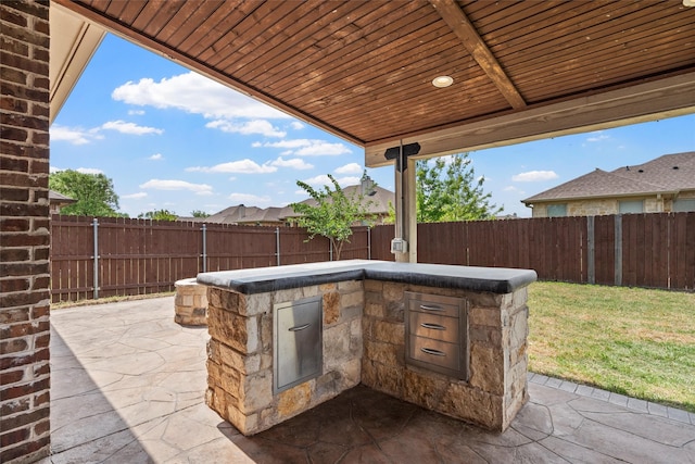 view of patio with a fenced backyard, outdoor dry bar, and exterior kitchen