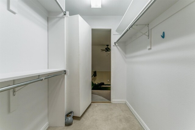 spacious closet with light carpet