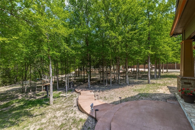 view of yard featuring a patio area