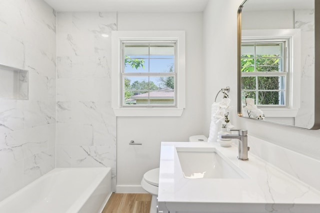 full bathroom featuring toilet, a healthy amount of sunlight, vanity, and wood finished floors