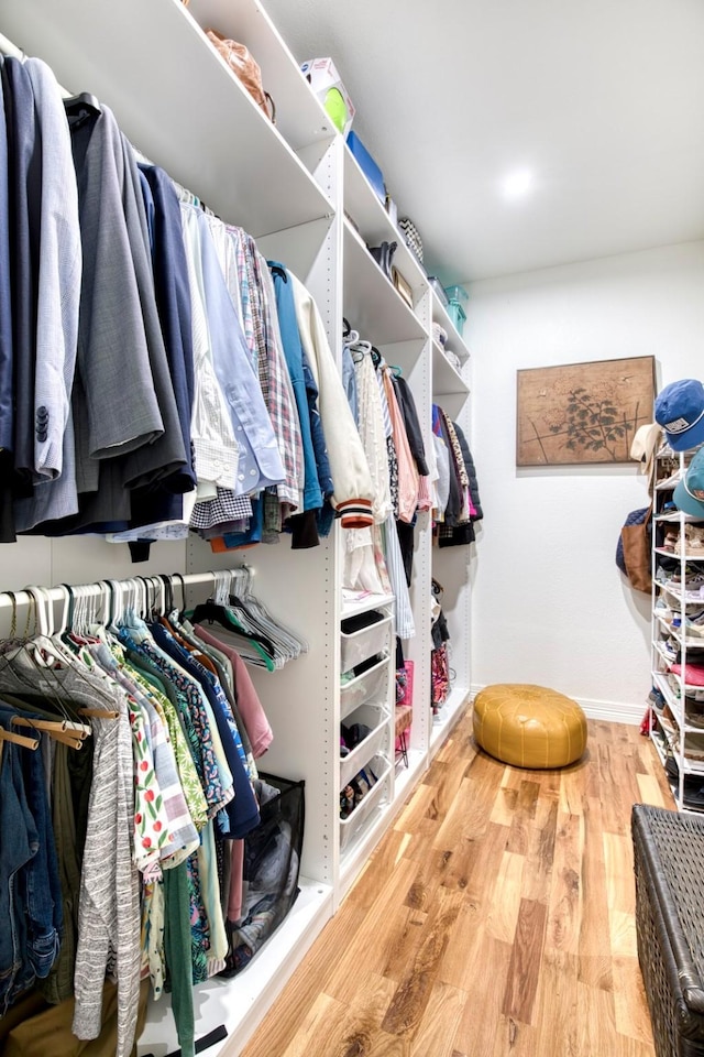 walk in closet featuring wood finished floors