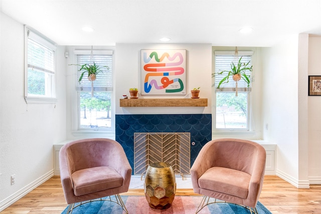 living area featuring baseboards, wood finished floors, and a wealth of natural light