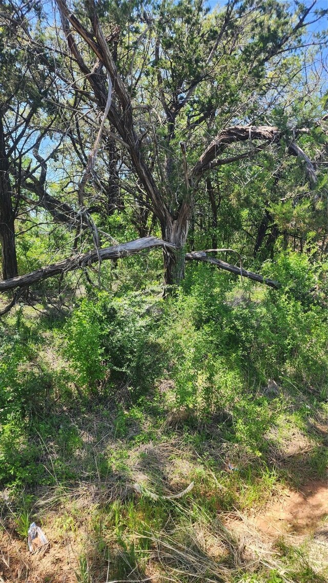3632 Arrowhead Cir, Granbury, TX 76048