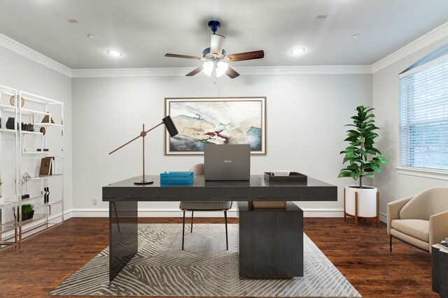 office area featuring crown molding, a ceiling fan, and dark wood-type flooring