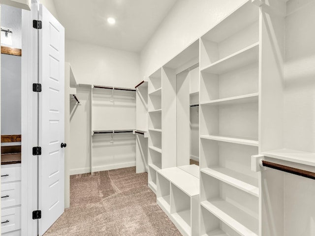 117 Fan Mill Trl, Weatherford, TX 76085 - walk in closet featuring carpet floors