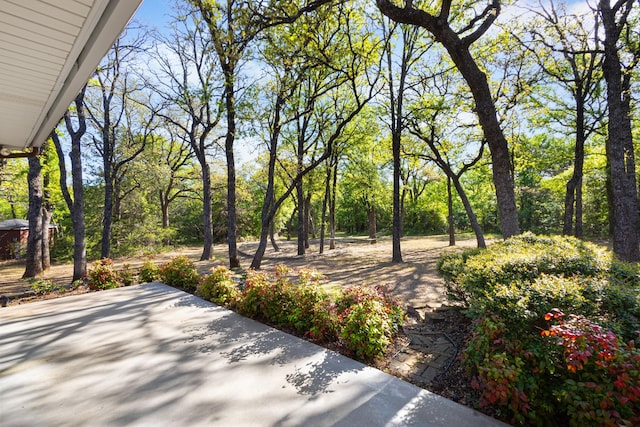 516 Wild Wood Dr, Decatur, TX 76234 - view of patio
