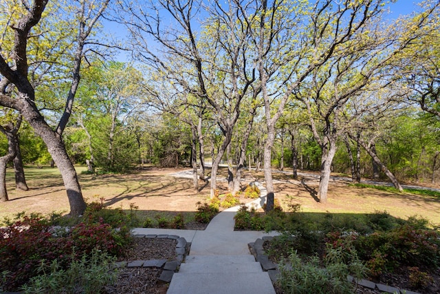 516 Wild Wood Dr, Decatur, TX 76234 - view of yard