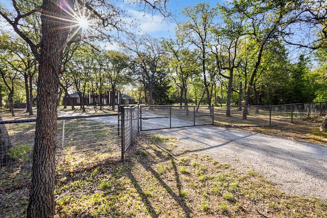 516 Wild Wood Dr, Decatur, TX 76234 - view of yard featuring a gate