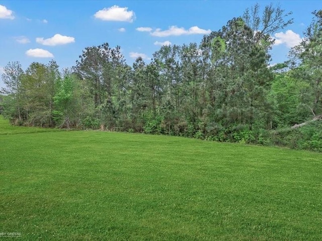 view of yard with a wooded view