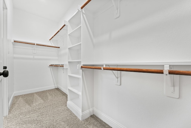 spacious closet with carpet