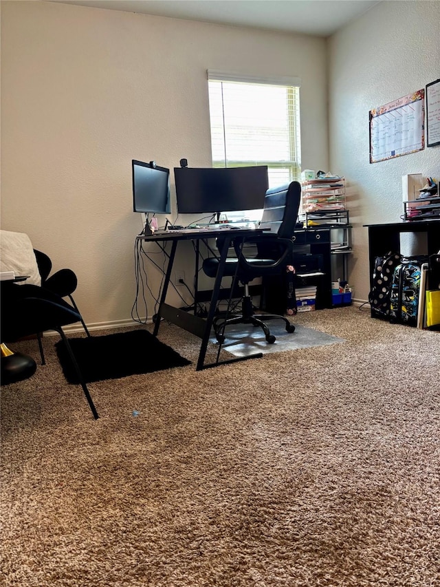 828 Costlow Ln, Fate, TX 75189 - office area with a textured wall and carpet