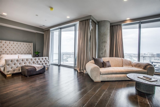 living room with expansive windows, a wealth of natural light, and dark wood-type flooring