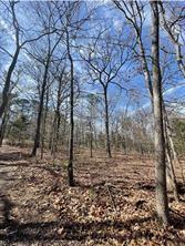000 King Frederick Ct, Scroggins, TX 75480
