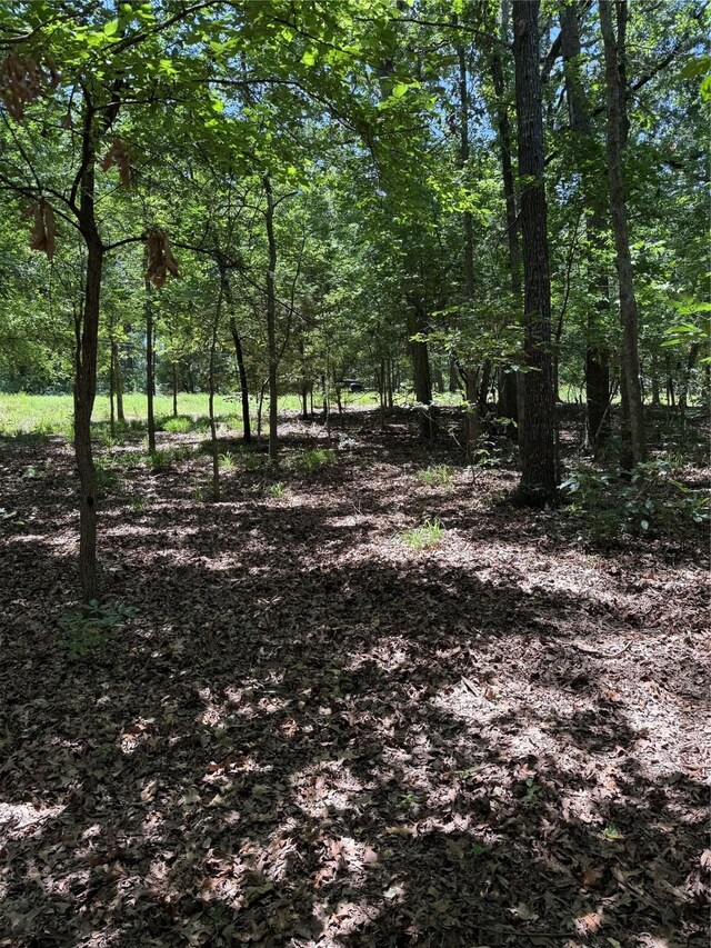 000 King Frederick Ct, Scroggins, TX 75480