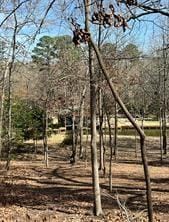 000 King Frederick Ct, Scroggins, TX 75480