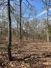 000 King Frederick Ct, Scroggins, TX 75480